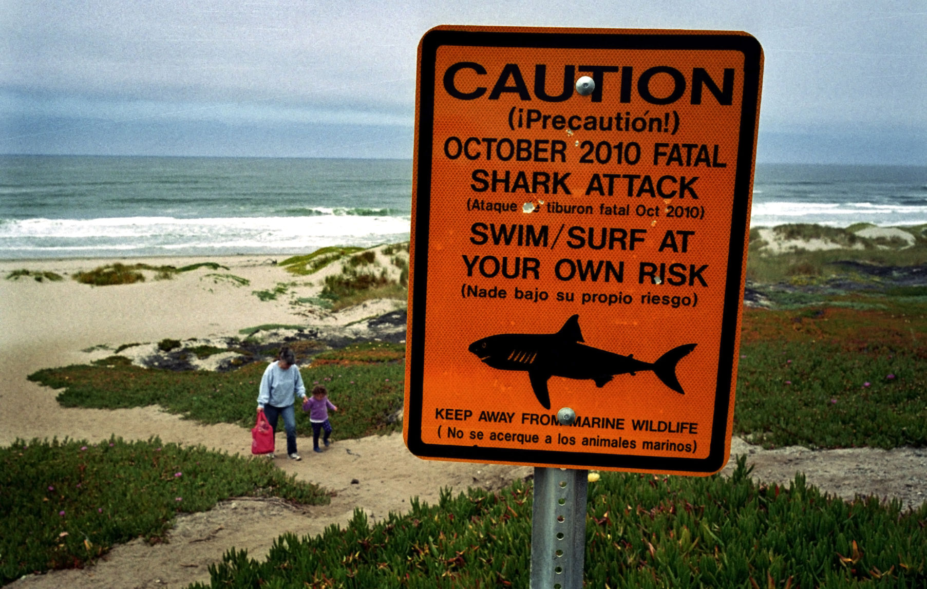 Fatal Shark Attack
